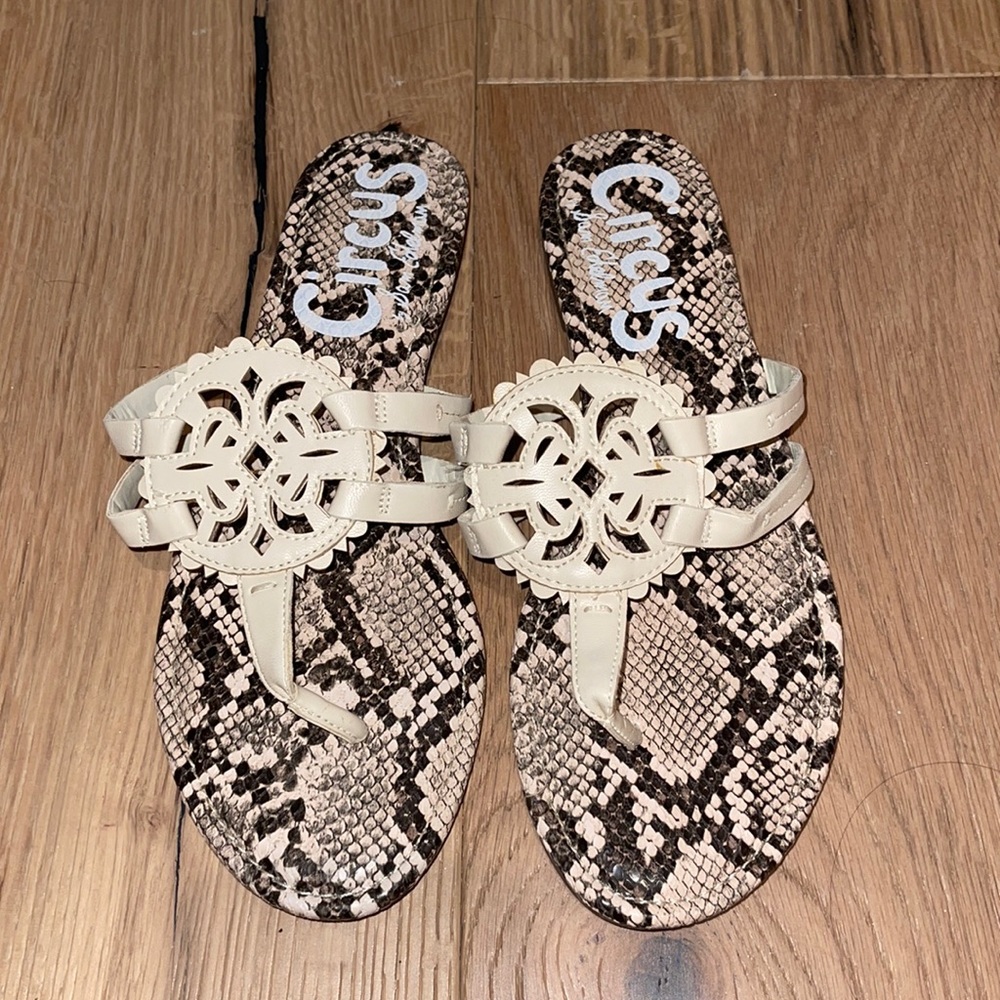 Circus by Sam Edelman Cherri sandal